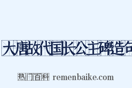 大唐故代国长公主碑造句是什么意思的图片